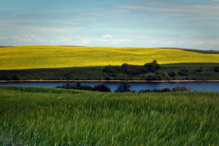 Serenity II - alberta, lake, battle river, stettler, canada, grass