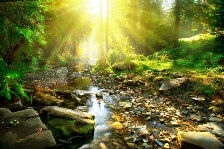 ♥ - sunlight, river, greenery, nature