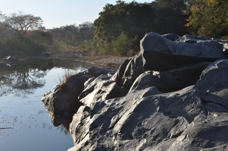 Morning Reflection - rock, tree, reflection, river