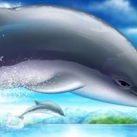 cute dolphins