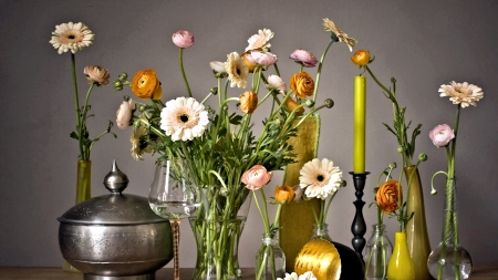 Flowers in Vases - pretty, Vase, Nature, Flowers