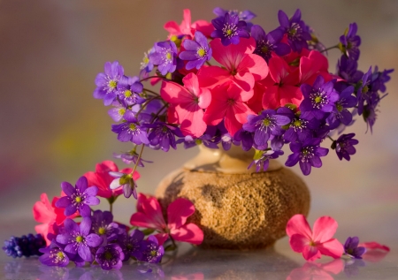 Still life - pretty, fragrance, delicate, bouquet, flowers, scent, still life, vase