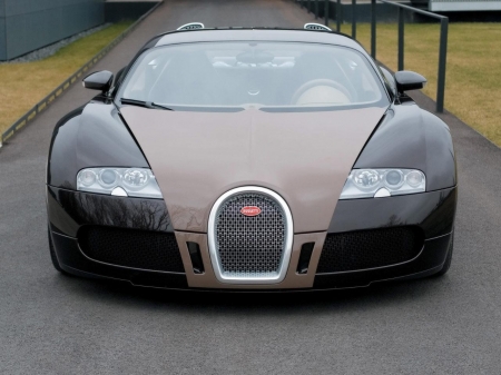 2008 Bugatti Veyron - car, Bugatti, Veyron, 2008