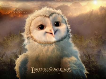 Guardian of the galaxy owl - animated, animals, birds, owls