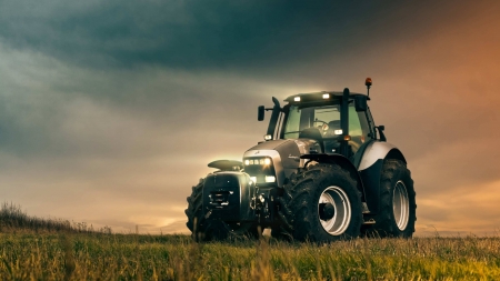 lamborghini tractor - field, grass, lamborghini, tractor