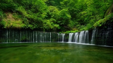 Forest waterfall - greenery, trees, waterfall, summer, beautiful, forest