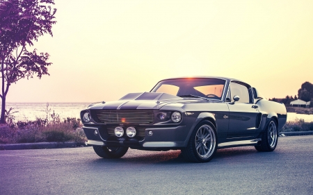 Ford Mustang - Ford, Eleanor, car, Custom, auto, Mustang