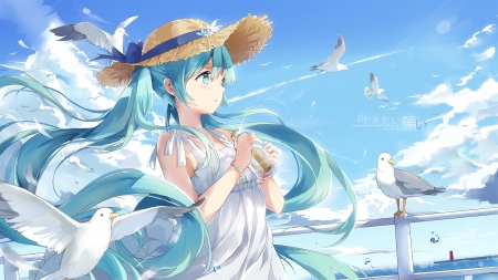 Hatsune Miku - bird, anime, vocaloid, summer, blue, girl, hatsune miku, kyod 31, manga, white, seagull, vara