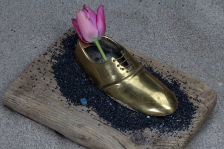 Still Life - tulips, shoe, deco, flower, sand, still life