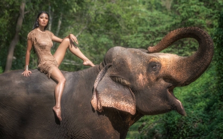 girl on an elephant - fun, elephant, cool, animals