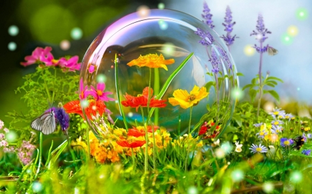 bubble - flower, cool, fun, bubble, nature