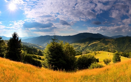 field - nature, fun, cool, sunset, field