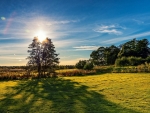 field sunset