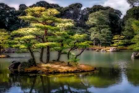 Park View - nature, park, lake, tree