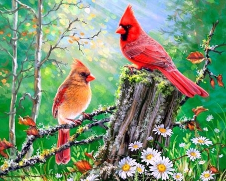 Summer Lovers - couple, animals, summer, nature, cardinals, love four seasons, lovers, paintings, flowers, colors, birds