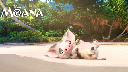 Moana 2016 - piglet, animation, poster, moana, cute, movie, disney