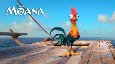 Moana 2016 - chicken, rooster, movie, disney, moana, funny, animation, poster