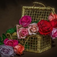 Basket of Roses