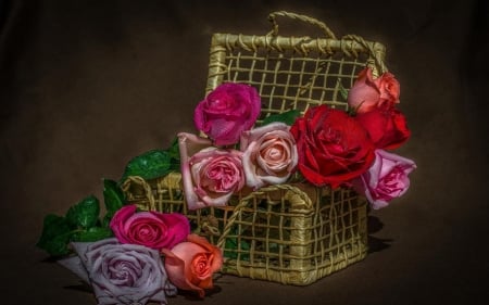 Basket of Roses - flowers, roses, colorful, basket, nature, buds, background