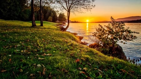 Dazzling sunset - amazing, beautiful, sunrise, grass, reflection, dazzling, glow, river, shore, sunset, rays, lake, golden, sky