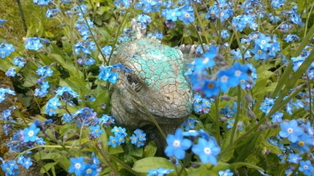 Hidden in Flowers - Hide, Head, Photograph, Leaf, Hiding, Reptile Head, Comodowaran, Flowers, Nature, Petal, Hidden, Animal, Reptile, Summer, Waran, Beast, Figurine, Green, Photo, Blue Flowers, Leguan, Scene, Petals, Summertime, Blue, Leafs, Grass, Beast Head, Garden, Snapshot