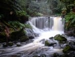 Horseshoe Falls, Tasmania, Australia