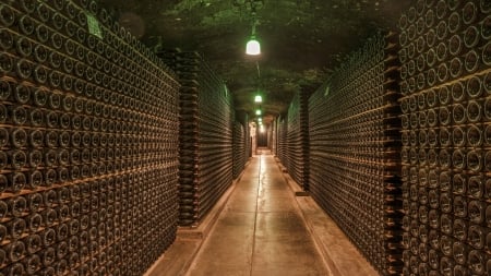 Wine Cellar - racks, floor, architecture, wine, Wine Cellar, lights, alcohol, building, bottles, underground, cellar