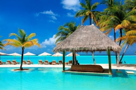 paradise beach - heaven, trees, blue, pool, green, beaches, sea, paradise