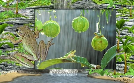 SITTING IN THE RAIN - framed, image, animals, frogs