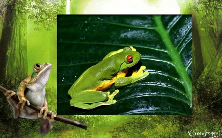 SITTING ON A LEAF - frog, leaf, image, green