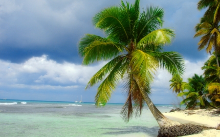 Tropical palms - clouds, palms, summer, vacation, beach, beautiful, sea, ocean, tropics, shore, waves, exotic, sky