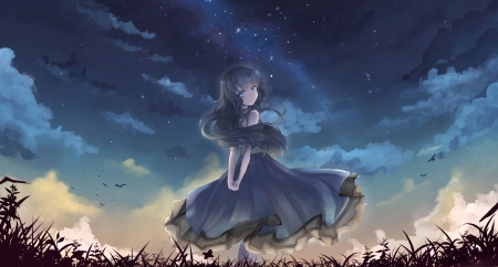 Stars - star, anime, blue, dress, girl, night, stars, hair, dark, nice, sky