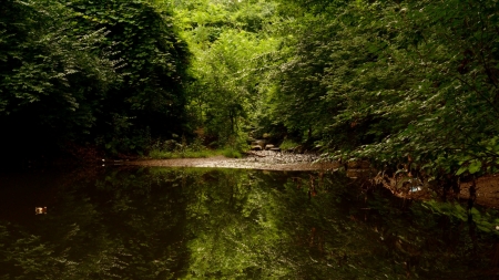 Peaceful Quiet Pond - lakes, nature, water, pond