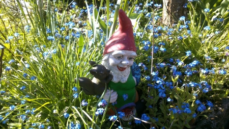 A midgets pet - snapshot, figurine, summertime, magic, green, sunny, painted, photograph, garden, grass, little, midget, summer, pet, painted figurine, fairytale, tiny, beard, red, blue, dwarf, flowers, photo, flower