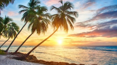 Tropical Sunset - clouds, trees, sunset, nature, sea, palm