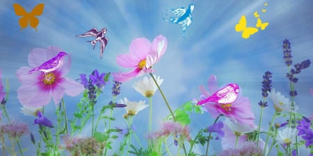 SPRINGTIME - springtime, colorful, flowers, birds, butterflies