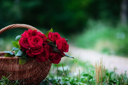 ♥ - roses, flowers, basket, soft