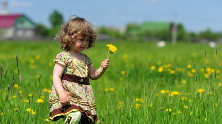 Flower field - Tender, Lion, A child, Flower