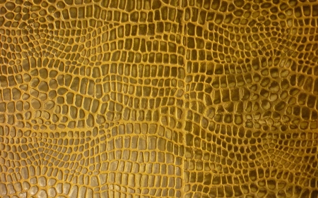 crocodile skin - skin, abstract, pattern, crocodile