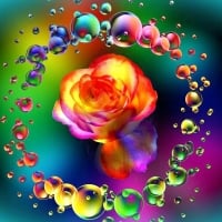 Rose Surrounded by Rainbow Bubbles