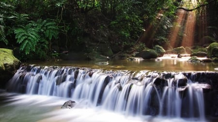 running river - fun, river, nature, forest, cool