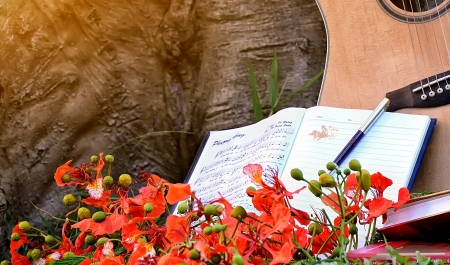 Flowers and Guitar - flowers, pretty, guitar, photo