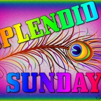 SPLENDID SUNDAY