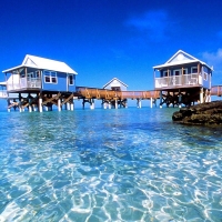 Bermuda Cabins