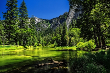 Yosemite - river, trees, nature, Yosemite National Park, green, landscape, sky, woods