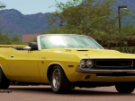 dodge challenger