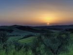 sunset over a field