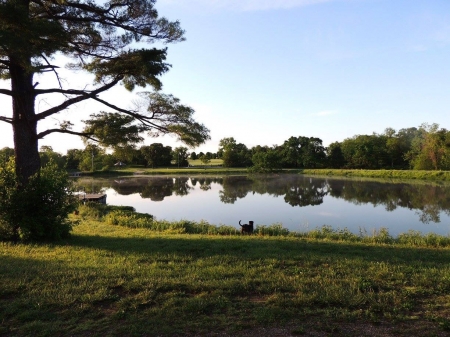 peace - nature, water, sunrise, trees