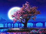 Full Bloom by Moonlight
