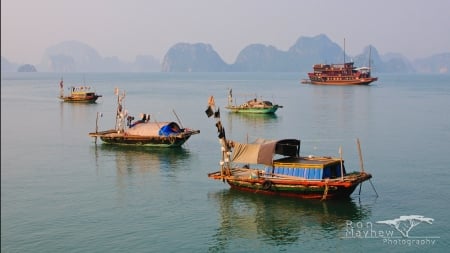 halong bay - halong, vietnam, bay, boat